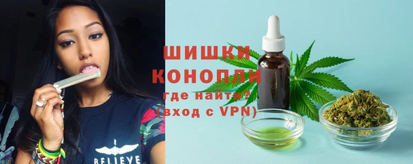 PSILOCYBIN Ладушкин