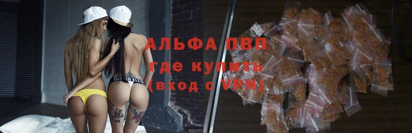 PSILOCYBIN Ладушкин