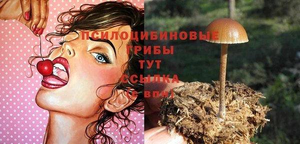 круглые Лагань
