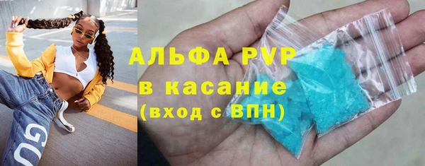 PSILOCYBIN Ладушкин